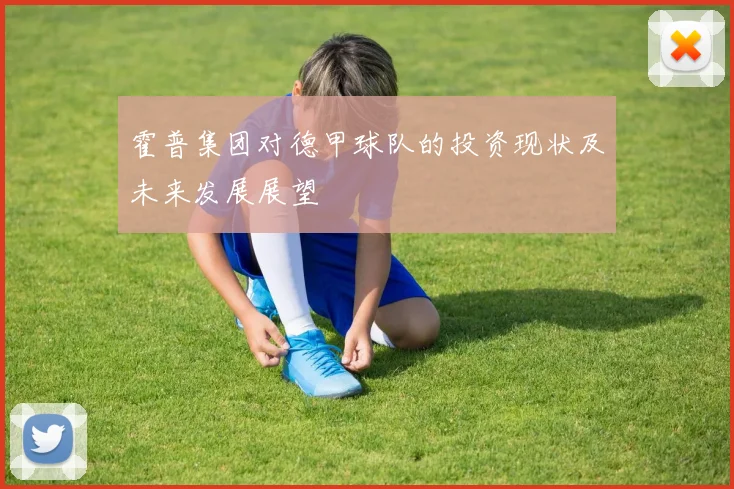 霍普集团对德甲球队的投资现状及未来发展展望