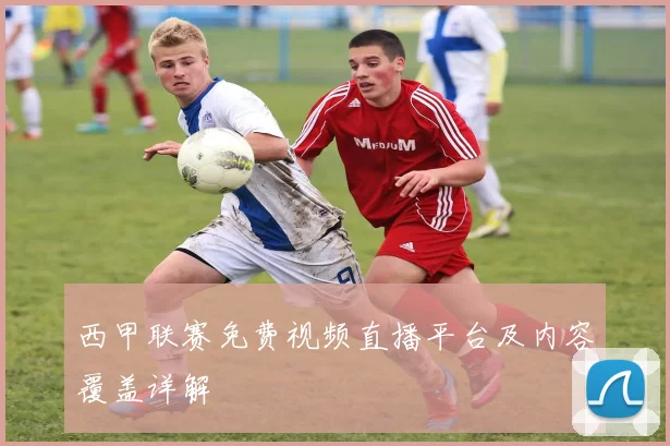西甲联赛免费视频直播平台及内容覆盖详解
